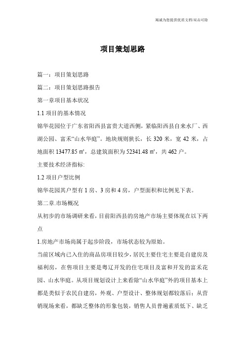 项目策划思路