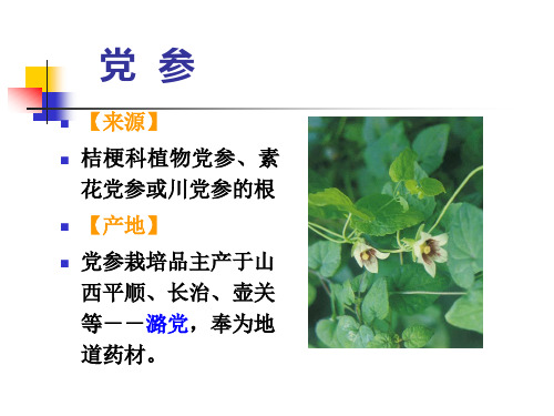党参木香,白术、苍术