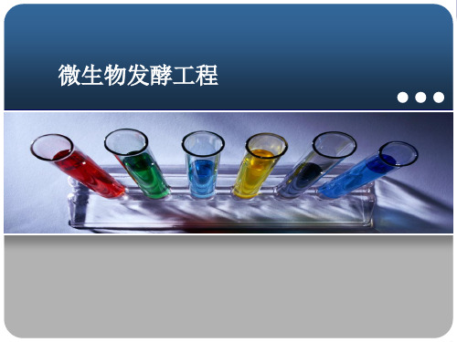 淀粉水解糖和糖蜜