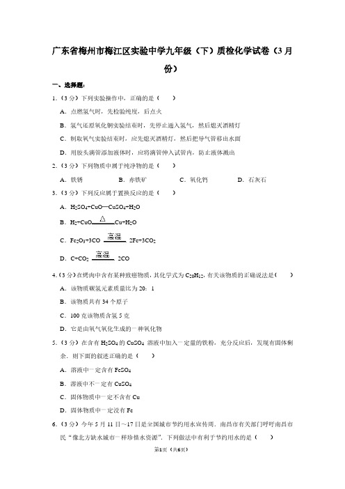 广东省梅州市梅江区实验中学九年级(下)质检化学试卷(3月份)