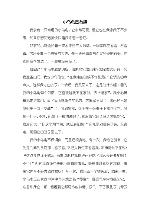 四年级作文：小乌龟真有趣作文600字