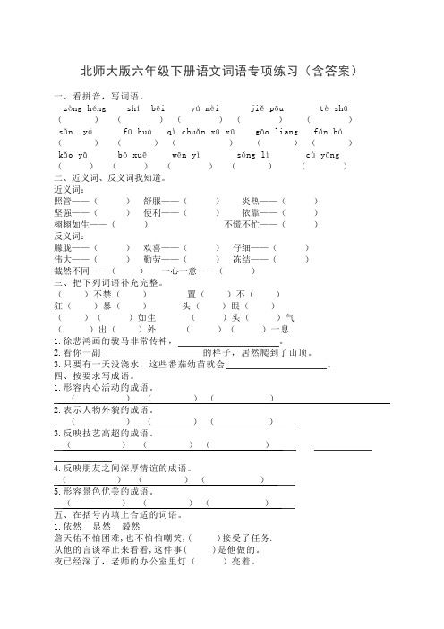 北师大版六年级下册语文词语专项练习(含答案)