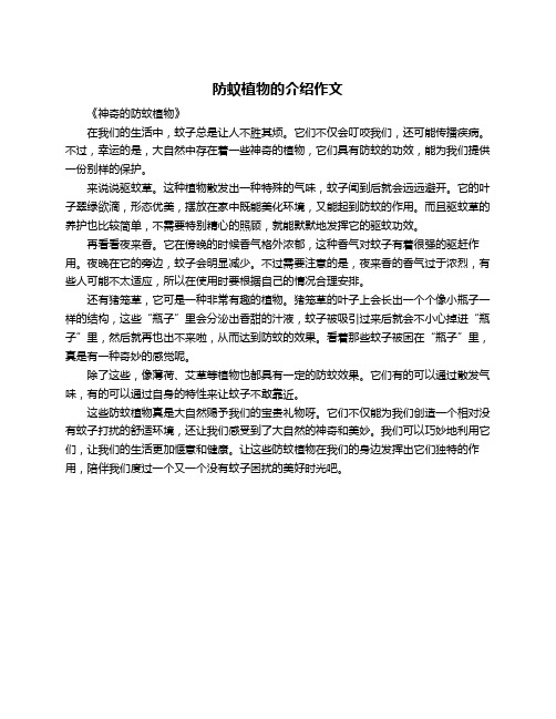 防蚊植物的介绍作文