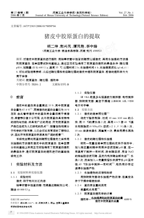 猪皮中胶原蛋白的提取