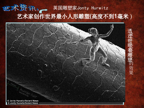 人美版高中美术鉴赏《第12课 理想与现实的凝结——外国雕塑撷英》课件(共25张PPT)