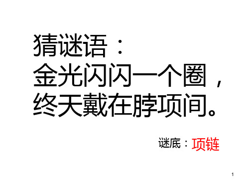 11项链部编完美版ppt课件