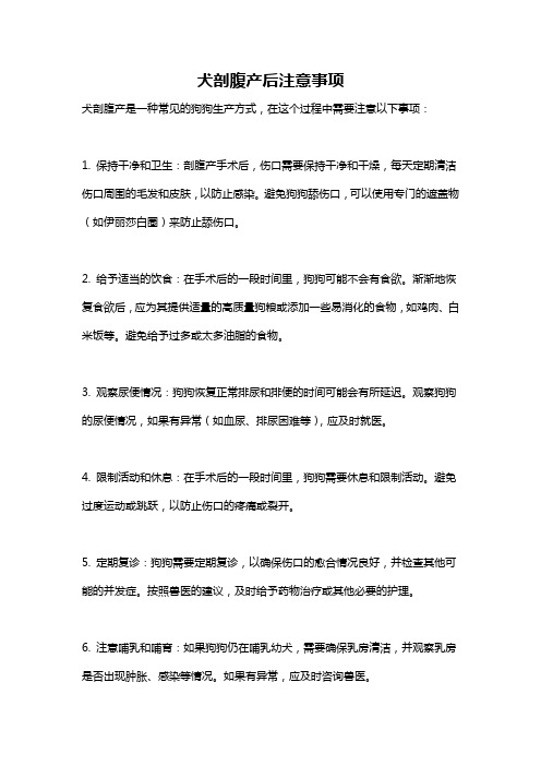 犬剖腹产后注意事项