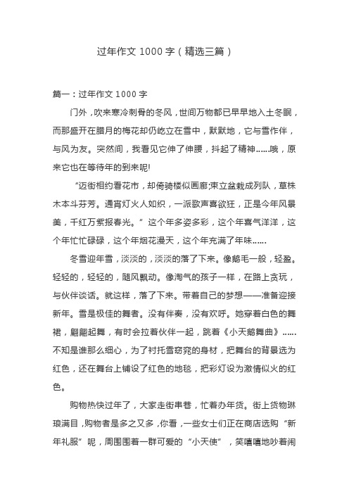 过年作文1000字范例汇总(精选三篇)