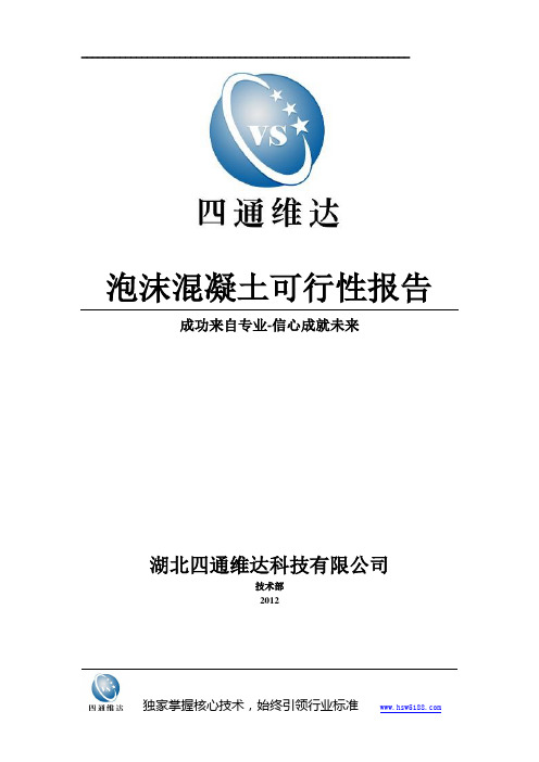 四通维达可行性报告