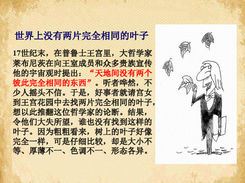 菱角的喜剧ppt21 课件
