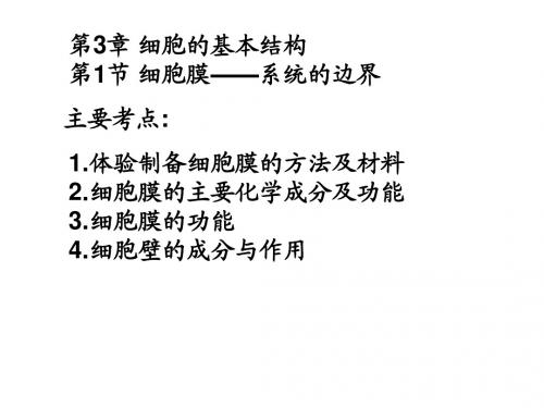 高中生物必修一 三四章