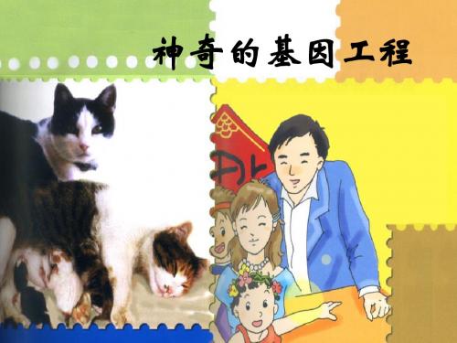 神奇的基因工程_PPT