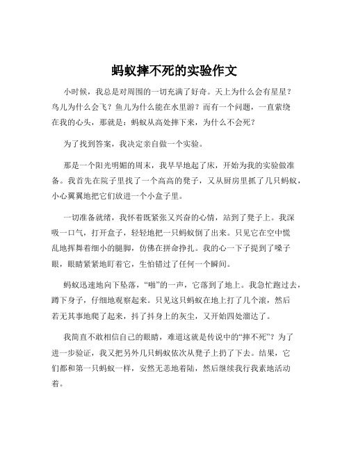 蚂蚁摔不死的实验作文