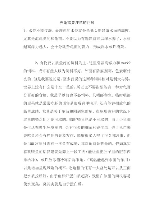 养龟需要注意什么