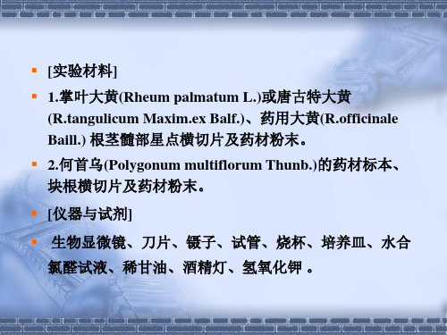 实验 大黄何首乌的鉴定