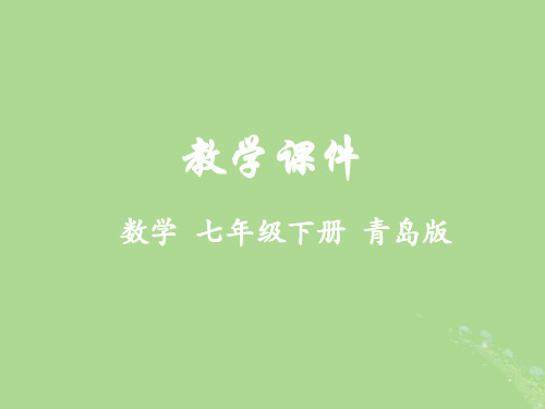 2018-2019学年七年级数学下册 第11章 整式的乘除 11.6 零指数幂与负整数指数幂教学课件