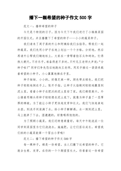 播下一颗希望的种子作文500字_作文