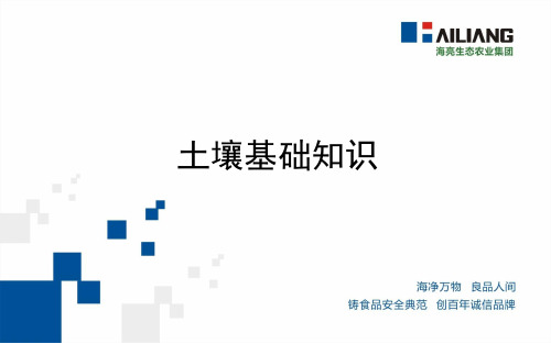 土壤基础知识ppt