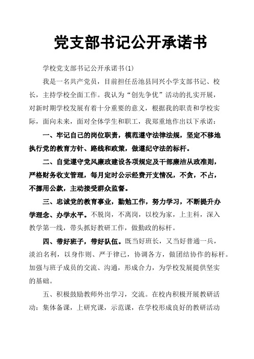 党支部书记公开承诺书
