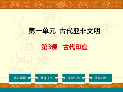 人教部编版九年级历史上册第三课古代印度共34张PPT