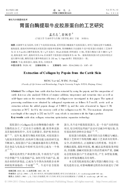 胃蛋白酶提取牛皮胶原蛋白的工艺研究