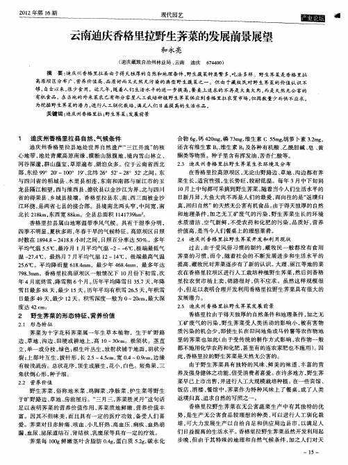 云南迪庆香格里拉野生荠菜的发展前景展望