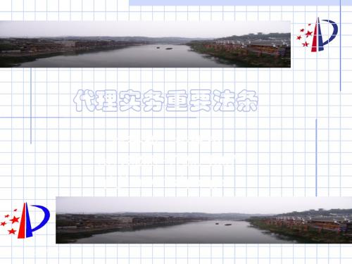41代理实务重要法条201907 共74页