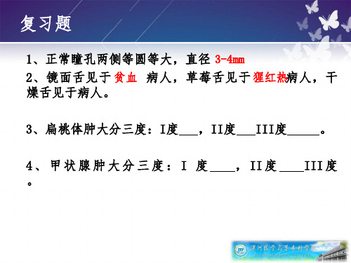 健康评估——胸部评估