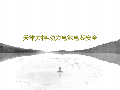 天津力神-动力电池电芯安全28页PPT