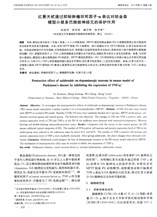 红景天甙通过抑制肿瘤坏死因子-a表达对帕金森模型小鼠多巴胺能神经元的保护作用
