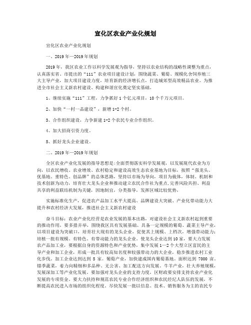 宣化区农业产业化规划