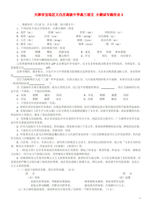 天津市宝坻区大白庄高级中学高三语文 小测试专练作业3