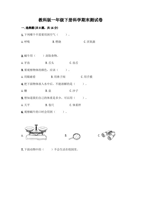 教科版一年级下册科学期末测试卷附参考答案(考试直接用)含答案(综合卷)