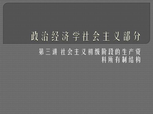 3社会主义初级阶段的生产资料所有制结构