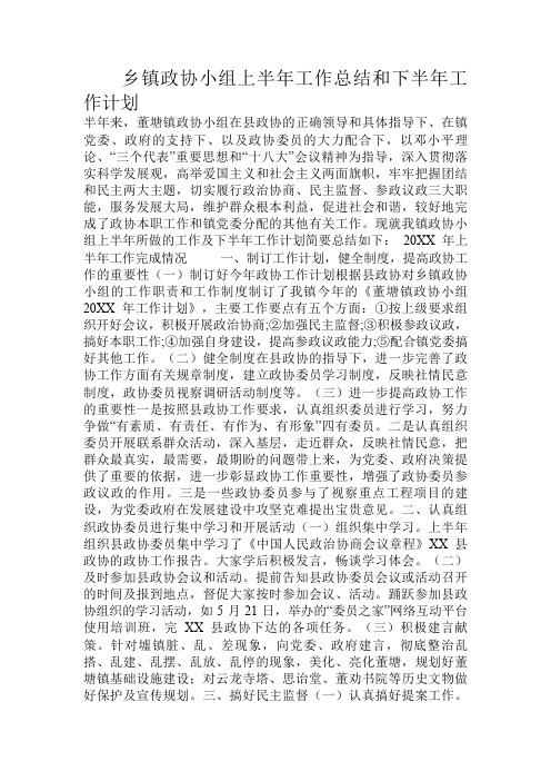 乡镇政协小组上半年工作总结和下半年工作计划.doc