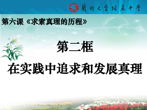 在实践中追求和发展真理——2014公开课课件