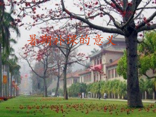 补课的意义