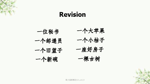 青少版新概念1A_unit_9