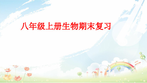 人教版初中八年级生物上册期末复习ppt课件