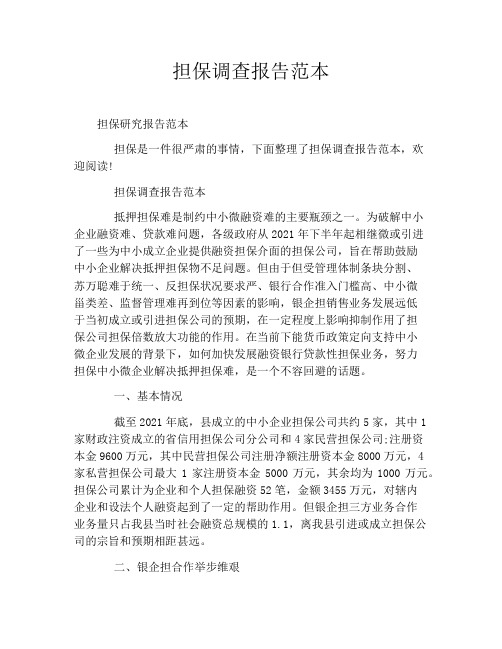 担保调查报告范本