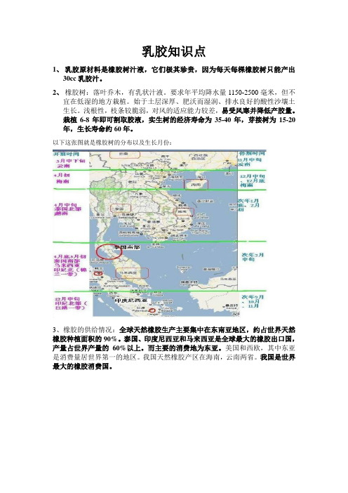 乳胶知识点