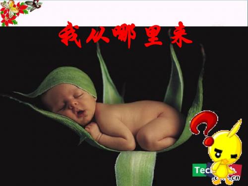 五年级科学上册4.1《我从哪里来》 优秀课件3大象版