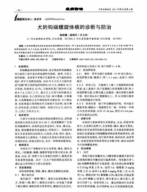 犬的钩端螺旋体病的诊断与防治