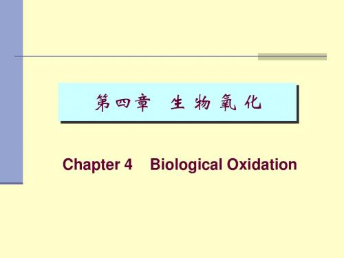 第四章生物氧化
