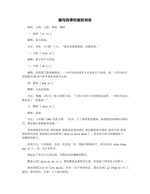 描写四季的雨的词语