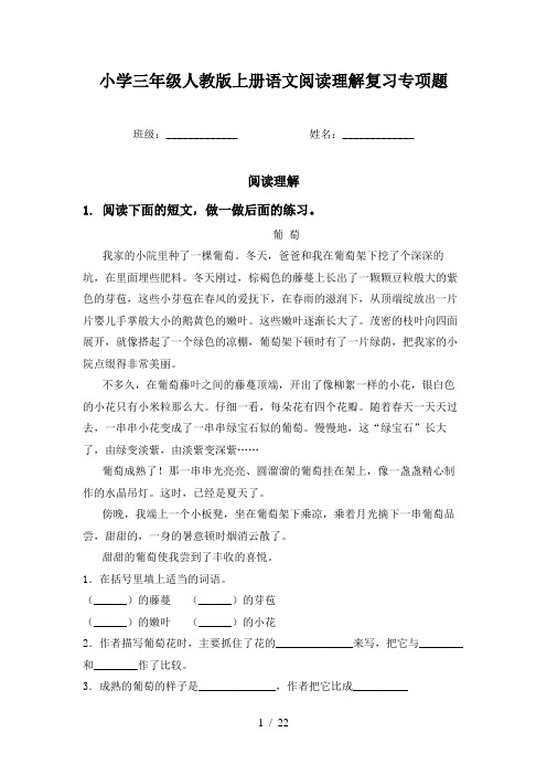 小学三年级人教版上册语文阅读理解复习专项题