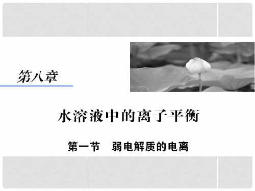 高考化学大一轮总复习(基础梳理+热点突破)8.1 弱电解