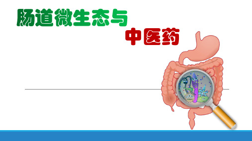 肠道微生态与中医药PPT课件