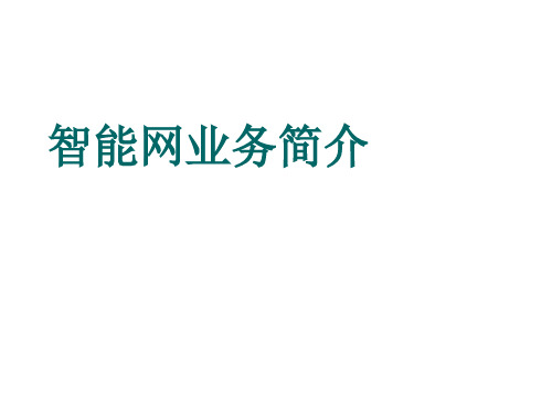 智能网业务简介