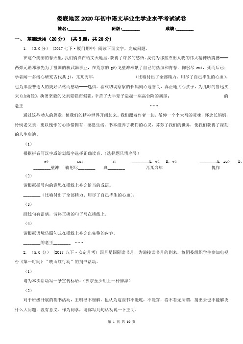 娄底地区2020年初中语文毕业生学业水平考试试卷